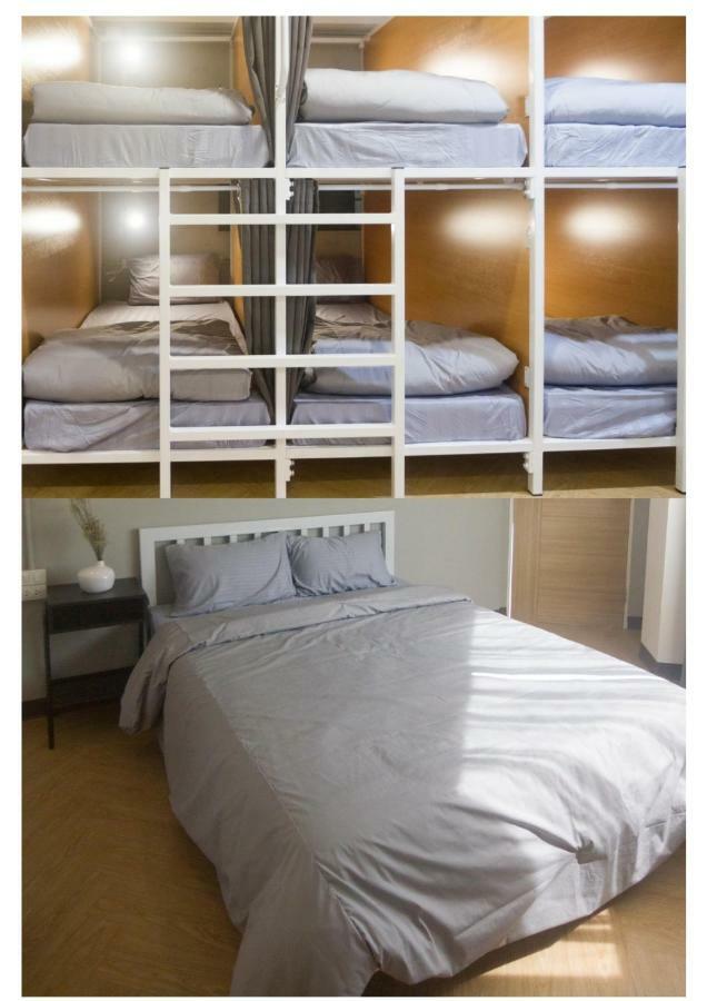 Albergue Grey Sheep *
